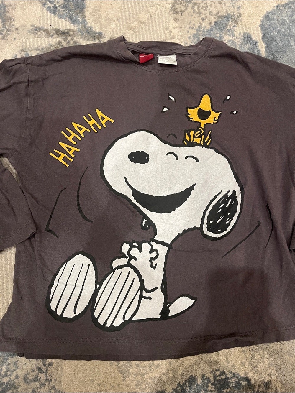 Zara Dark Gray Snoopy & Woodstock Graphic Long-Sleeve Tee - Picture 3 of 4